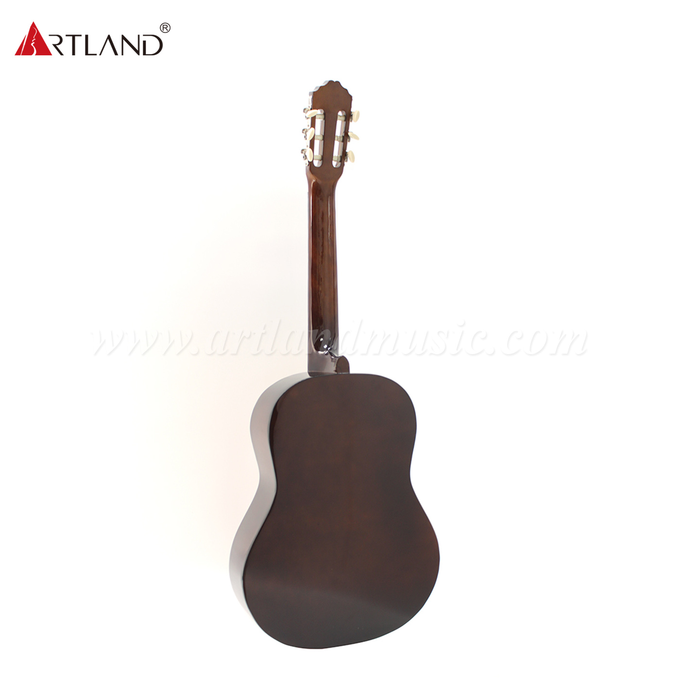 Linden Top Back&Side Classic Guitar (CG851)