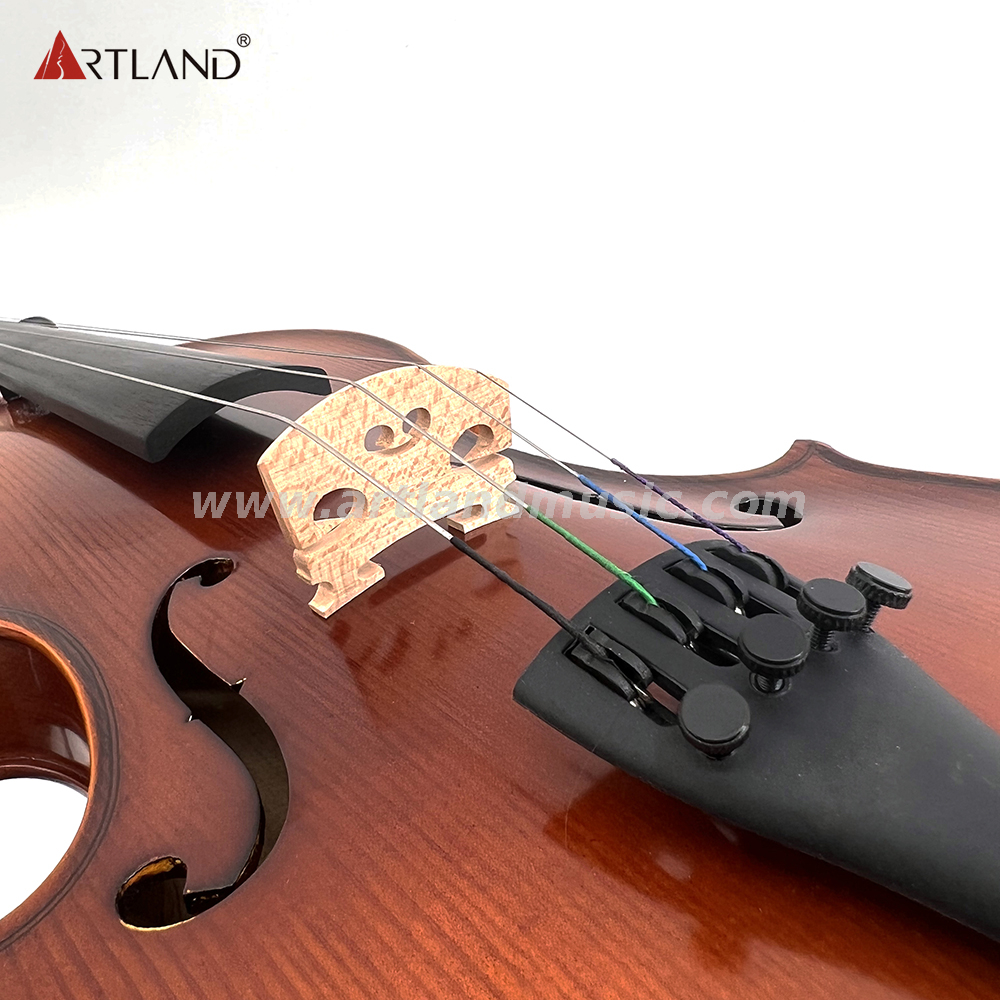 Generanl Violin with Hand Varnish And Spuer Craftmanship(GV110H)