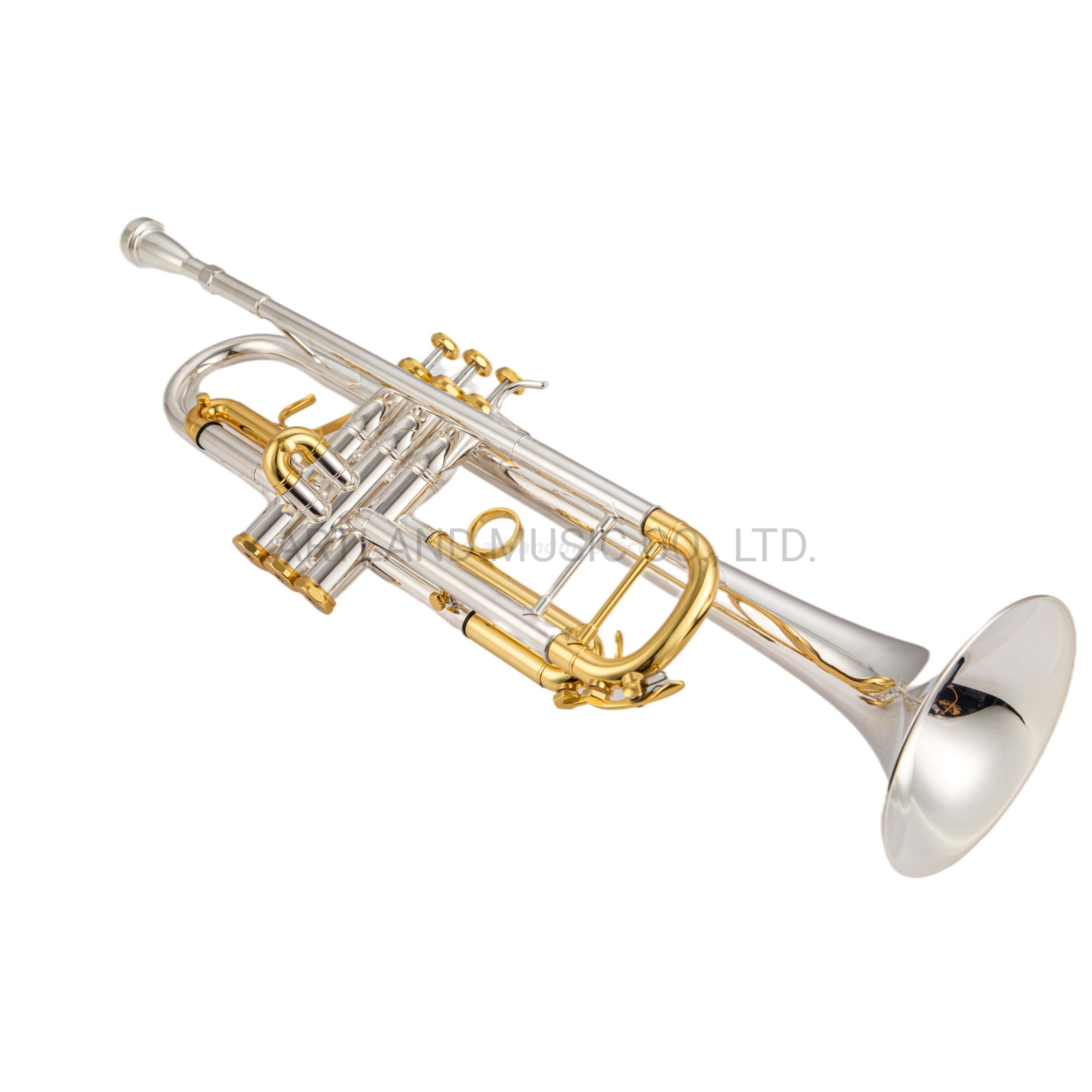 Bach Style Trumpet Silver with Gold plated Cap, One 3c And 5c Mouthpiece (ATR0275S)