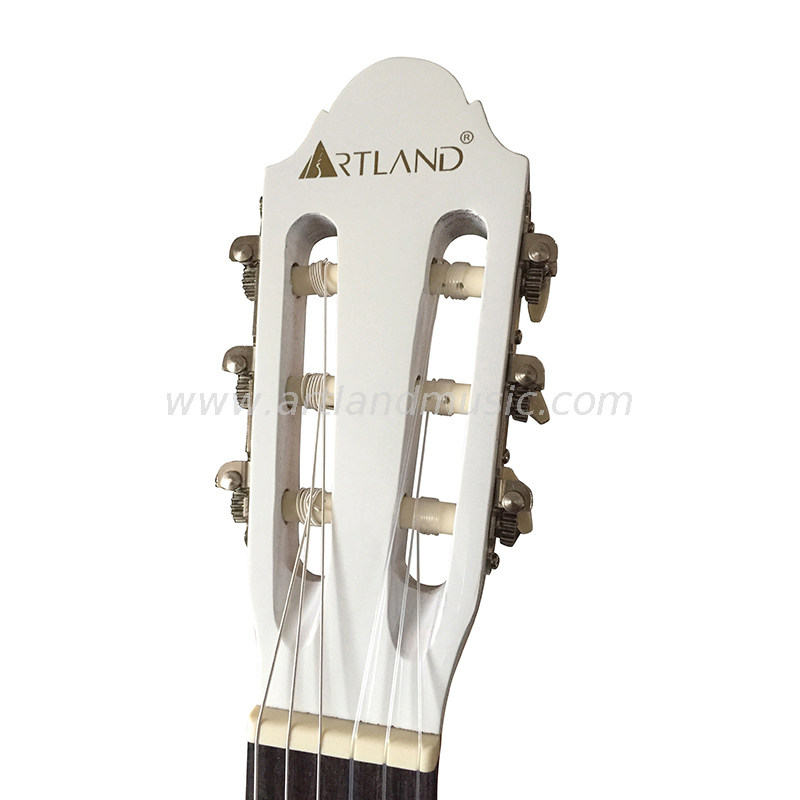 Wholesale Price White Color Classic Guitar (CG860WT)