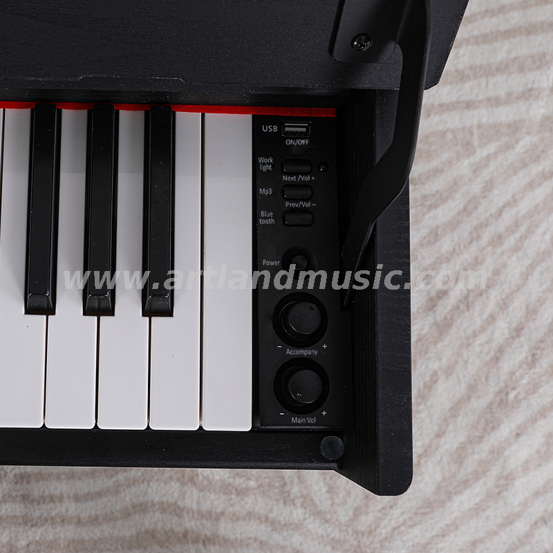 88 Key Progressive Weight Hammer Digital Piano(ATP802)