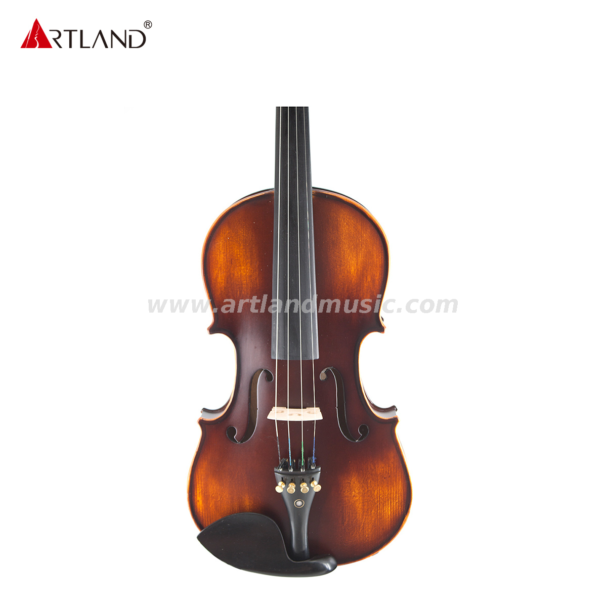Handcraft Professional Solid Wood Violin Outfit With Ebnoy Fitting (GV105)
