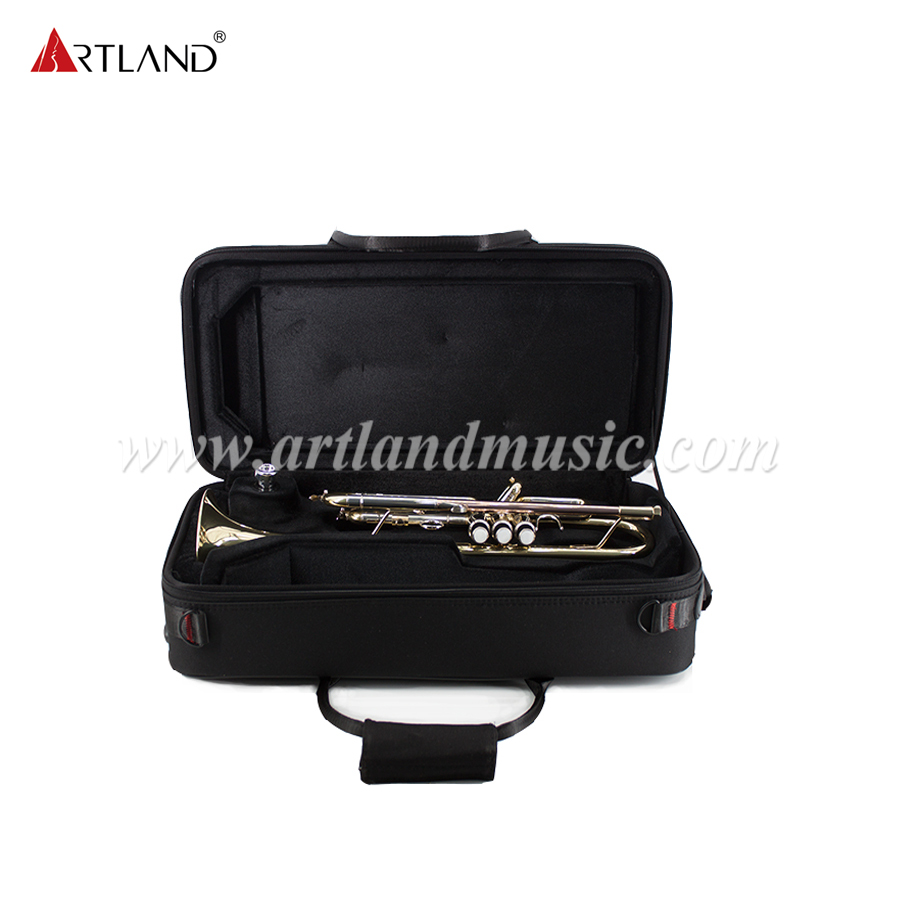 Professional Brass Instrument Solid yellow brass Trumpet With Case (ATR8336)