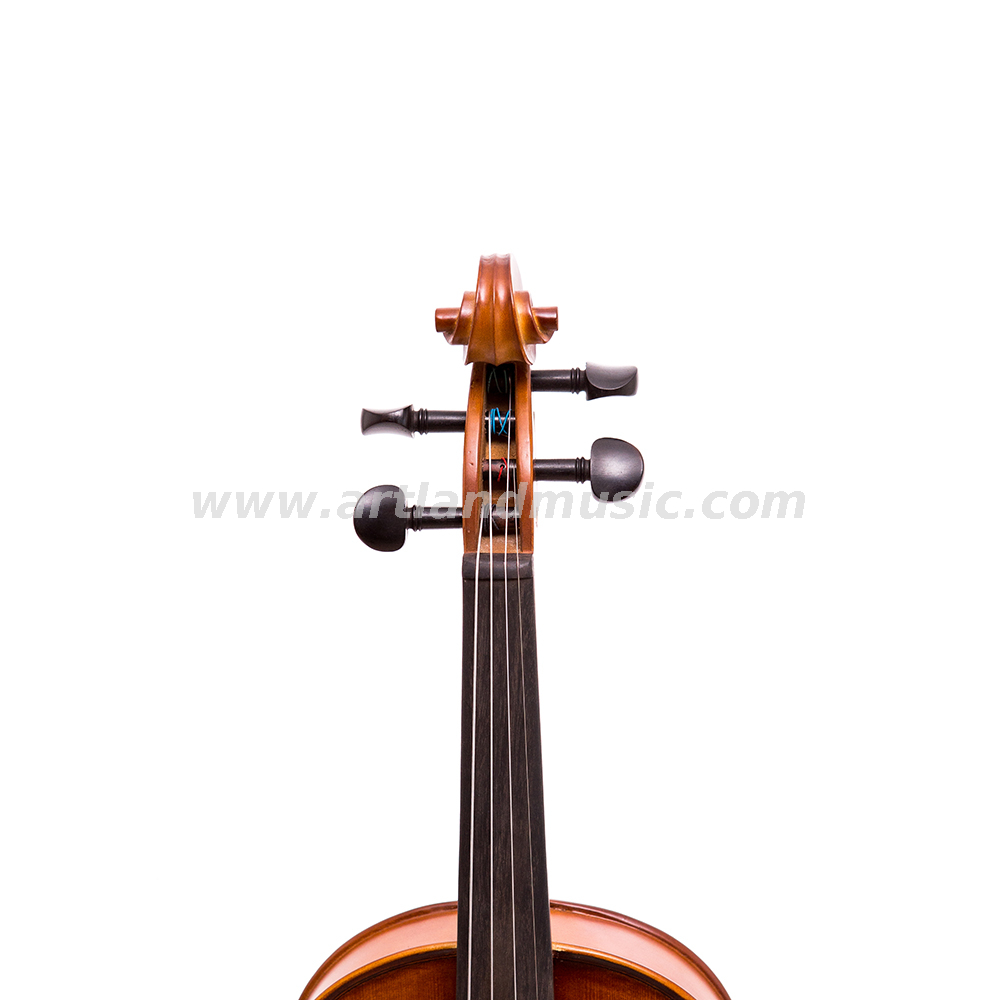 Ebony Fitting Solid Student Violin Outfit (GV104A)