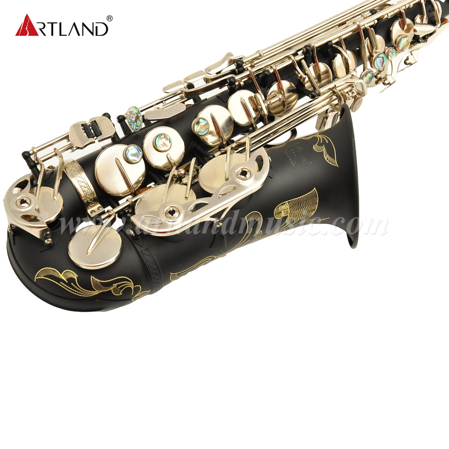 Eb Alto Saxophone Black Matt With Nickel Key (AAS6508)