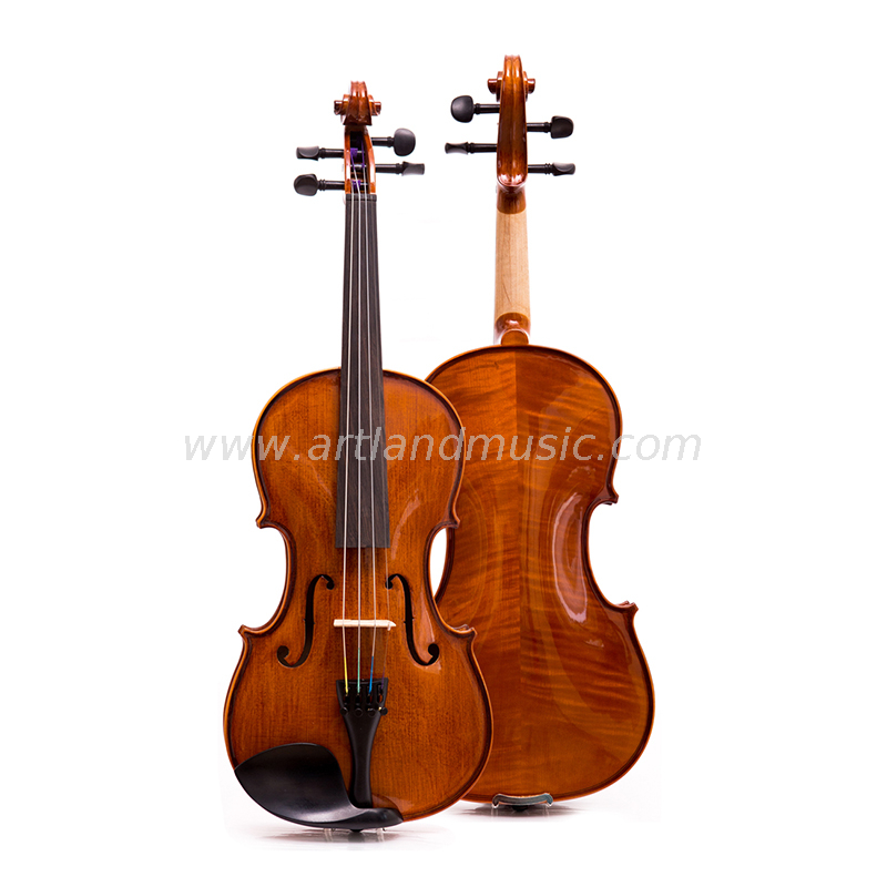 Moderate Violin (MV115) Suitable for All Ages