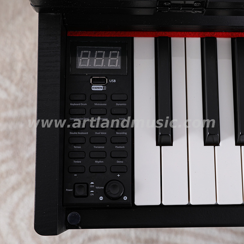480 Kinds Timbre 88 Ke Full Conterweight Keyboard Digital Piano(ATP8813) 