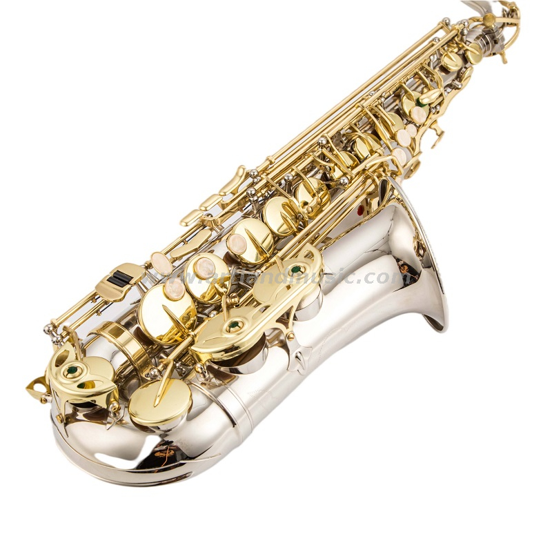 Eb Alto Saxophone Nickel hand engraved body with golden lacquer key(AAS5505NL)