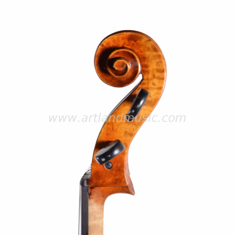 Advanced Cello, Antique Varnish Popular-ACA300
