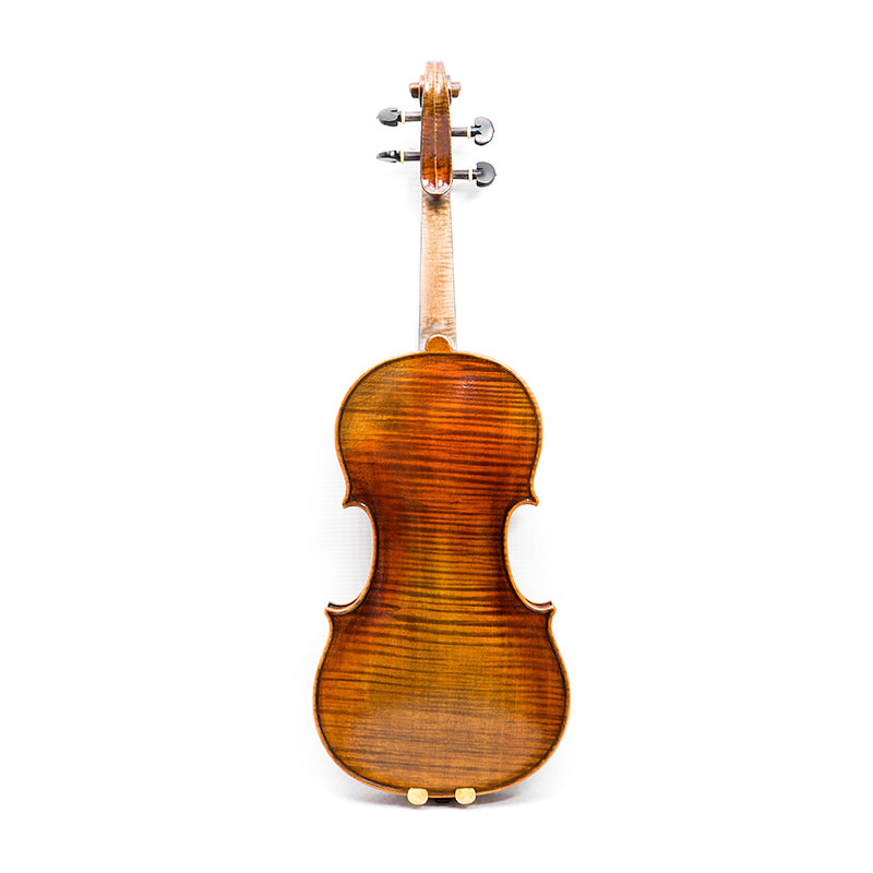 One Piece Back Hand Made Violin (AVA100S)